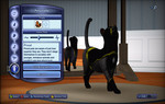 TS3_PETS_LE_PET_03_POUNCER.jpg