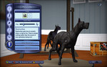 TS3_PETS_LE_PET_02_ROBO_DANE.jpg