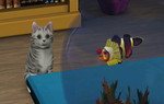 TS3_PETS_PC_1ST_LOOK_CAT_FISH_01.jpg