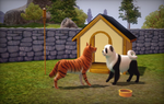 PandaChow+TigerHusky_Doghouse_1.png