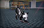 TS3_Pets_EU_Tour_SKELETON_CAT_01.jpg