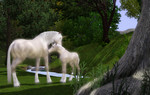 TS3Pets_PC_Unicorns.jpg